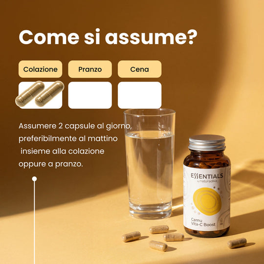 Camu Vita C Boost