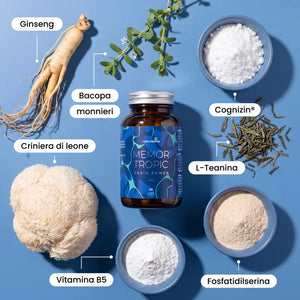 Ingredienti naturali di Memor Tropic: ginseng, bacopa monnieri, criniera di leone e L-teanina